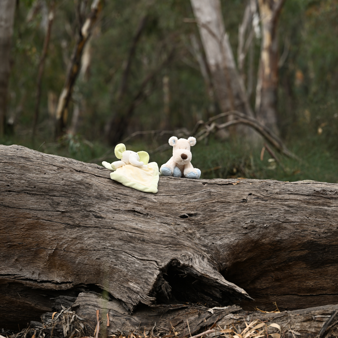 Bereavement Care after Pregnancy, Infant & Child Loss eLearning (Enrolment Tokens)