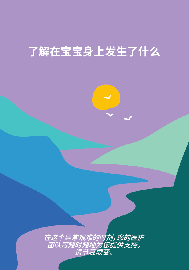 Stillbirth Parent Brochure Translated - Simplified Chinese