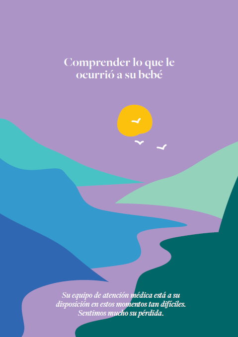 Stillbirth Parent Brochure Translated - Spanish